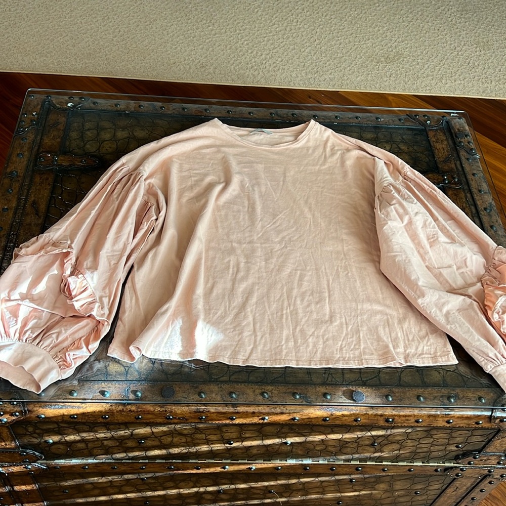 Zara lantern sleeve blouse